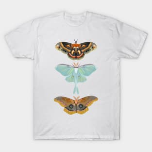 3 Moths T-Shirt